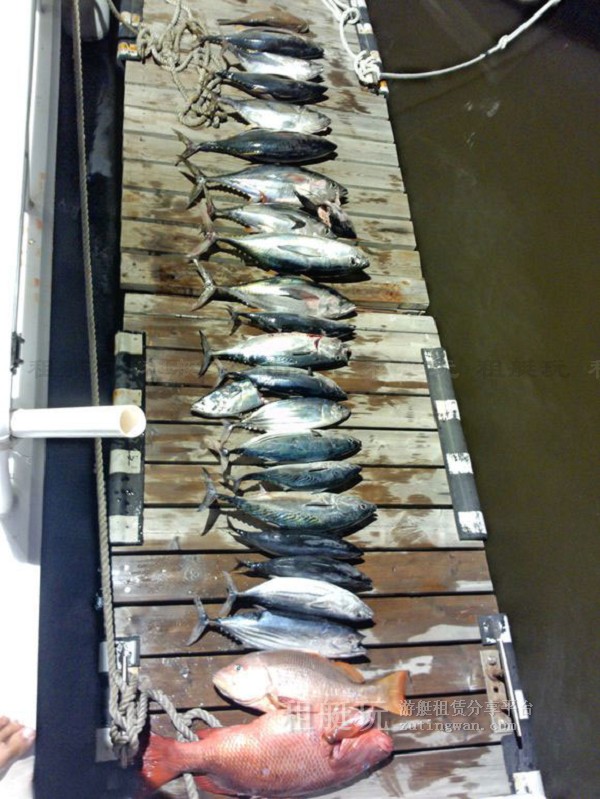 三亞海釣目的地推薦，租艘釣魚艇去海釣吧！