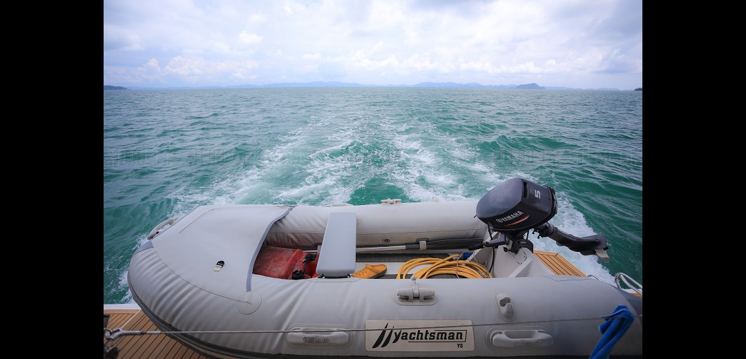 Leopard 51